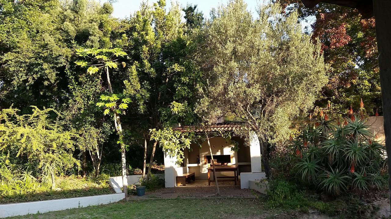 Amberhall Guesthouse ヨハネスブルグ エクステリア 写真